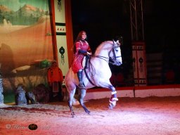 Circus YAKARI Show am 04.10.2024